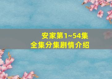 安家第1~54集全集分集剧情介绍