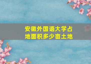 安徽外国语大学占地面积多少亩土地