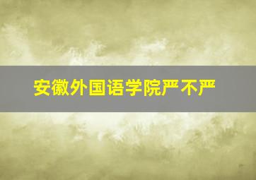 安徽外国语学院严不严