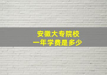 安徽大专院校一年学费是多少