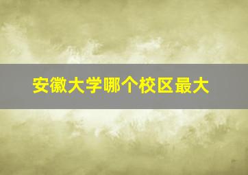 安徽大学哪个校区最大