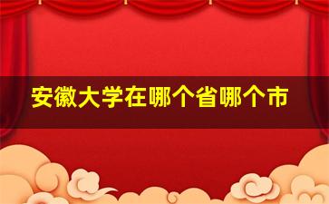 安徽大学在哪个省哪个市