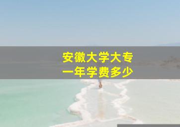 安徽大学大专一年学费多少