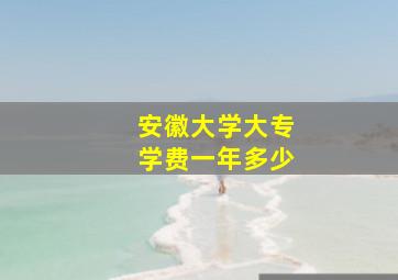 安徽大学大专学费一年多少