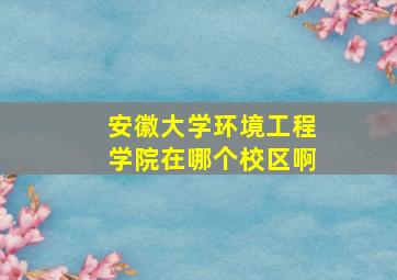 安徽大学环境工程学院在哪个校区啊