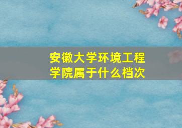 安徽大学环境工程学院属于什么档次