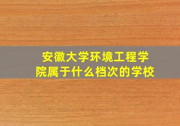 安徽大学环境工程学院属于什么档次的学校