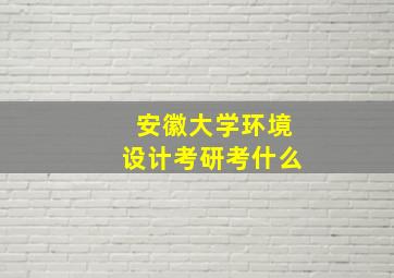 安徽大学环境设计考研考什么