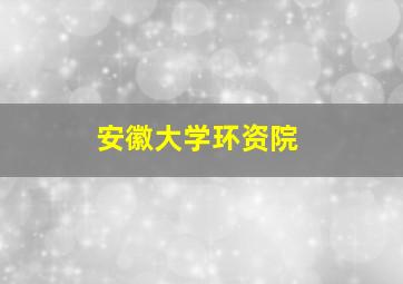 安徽大学环资院