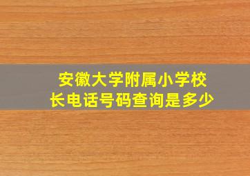 安徽大学附属小学校长电话号码查询是多少