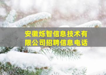 安徽烁智信息技术有限公司招聘信息电话