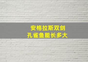 安格拉斯双剑孔雀鱼能长多大