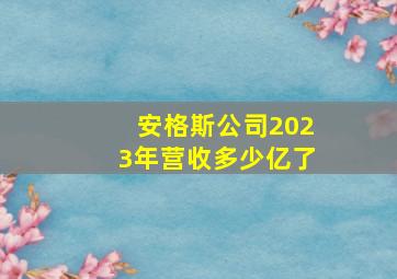 安格斯公司2023年营收多少亿了