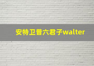 安特卫普六君子walter