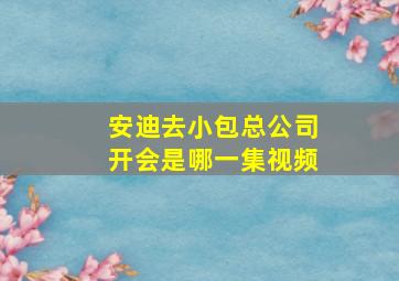 安迪去小包总公司开会是哪一集视频