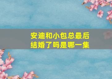 安迪和小包总最后结婚了吗是哪一集