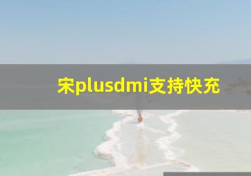 宋plusdmi支持快充