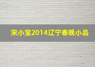 宋小宝2014辽宁春晚小品