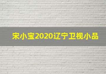 宋小宝2020辽宁卫视小品