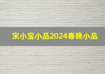 宋小宝小品2024春晚小品