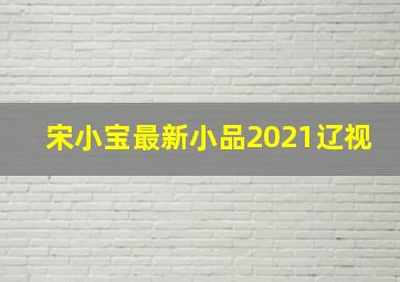 宋小宝最新小品2021辽视