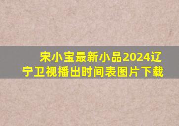 宋小宝最新小品2024辽宁卫视播出时间表图片下载