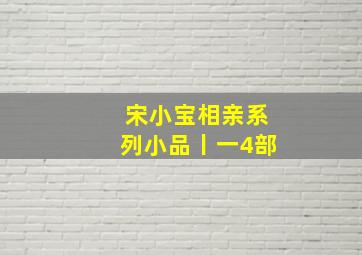 宋小宝相亲系列小品丨一4部