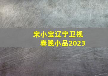 宋小宝辽宁卫视春晚小品2023