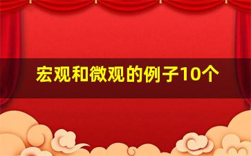 宏观和微观的例子10个