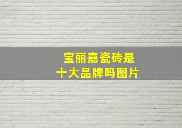 宝丽嘉瓷砖是十大品牌吗图片