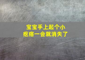 宝宝手上起个小疙瘩一会就消失了