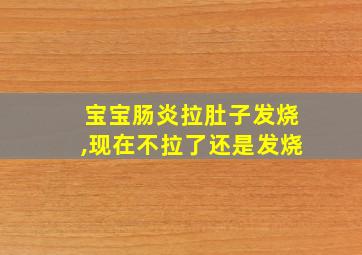 宝宝肠炎拉肚子发烧,现在不拉了还是发烧