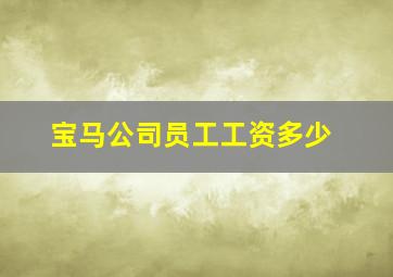 宝马公司员工工资多少