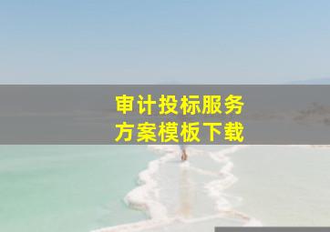 审计投标服务方案模板下载