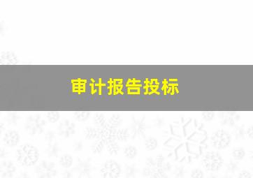 审计报告投标