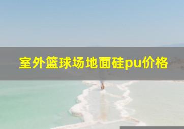 室外篮球场地面硅pu价格