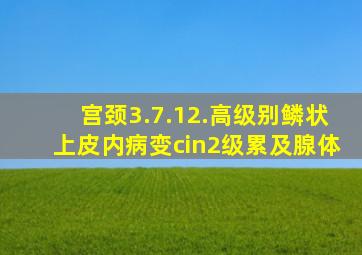 宫颈3.7.12.高级别鳞状上皮内病变cin2级累及腺体