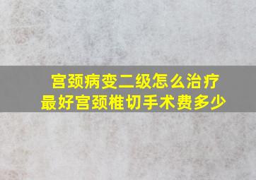 宫颈病变二级怎么治疗最好宫颈椎切手术费多少