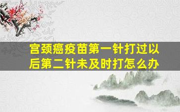 宫颈癌疫苗第一针打过以后第二针未及时打怎么办