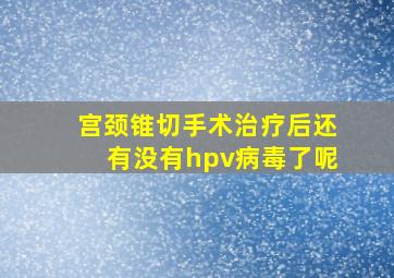 宫颈锥切手术治疗后还有没有hpv病毒了呢