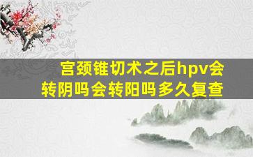 宫颈锥切术之后hpv会转阴吗会转阳吗多久复查