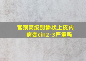 宫颈高级别鳞状上皮内病变cin2-3严重吗