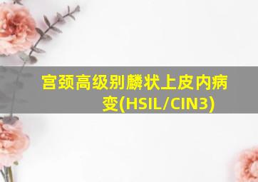 宫颈高级别麟状上皮内病变(HSIL/CIN3)