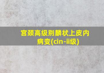 宫颈高级别麟状上皮内病变(cin-ii级)