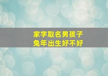 家字取名男孩子兔年出生好不好