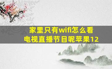 家里只有wifi怎么看电视直播节目呢苹果12