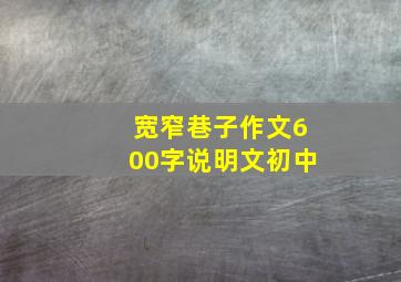 宽窄巷子作文600字说明文初中