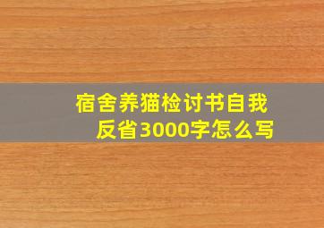 宿舍养猫检讨书自我反省3000字怎么写