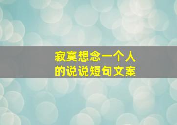 寂寞想念一个人的说说短句文案