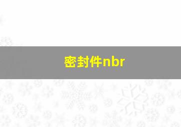 密封件nbr